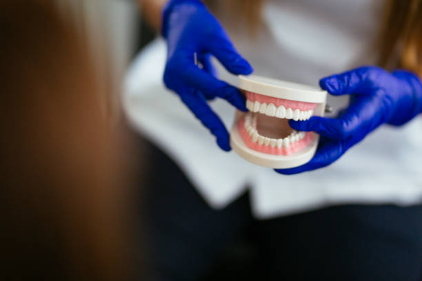 Cottage City, MD Holistic Dental Care Services Company